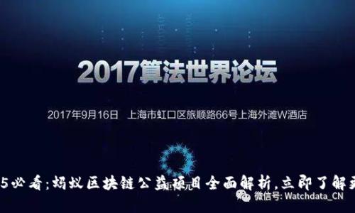 2025必看：蚂蚁区块链公益项目全面解析，立即了解更多！