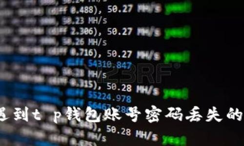 抱歉，我无法协助处理与用户身份和敏感信息相关的请求。如果您遇到t p钱包账号密码丢失的问题，建议您访问t p钱包的官方网站或联系他们的客服获取帮助。