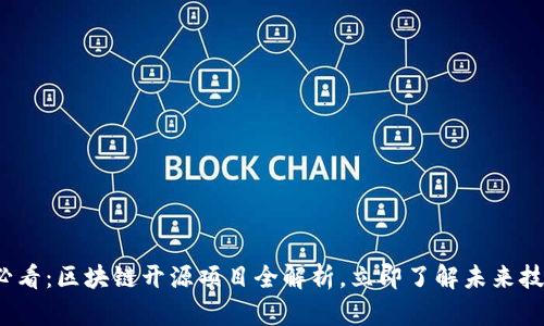 2025必看：区块链开源项目全解析，立即了解未来技术潮流