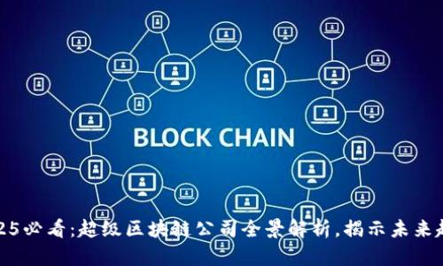 2025必看：超级区块链公司全景解析，揭示未来趋势