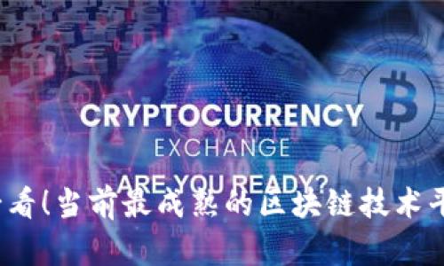 2025必看！当前最成熟的区块链技术平台盘点