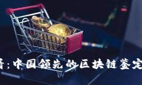 2025必看：中国领先的区块链鉴定软件推荐