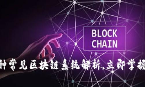 2025必看：三种常见区块链系统解析，立即掌握未来财富密码