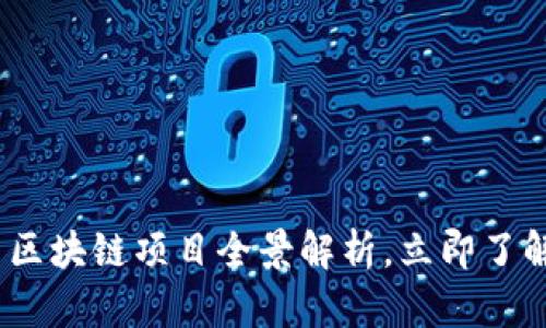 2025必看：青岛区块链项目全景解析，立即了解未来科技趋势！