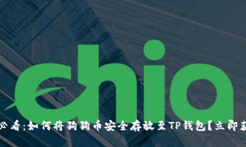2025年必看：如何将狗狗币安全存放至TP钱包？立即获取指南！