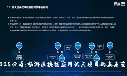 2025必看：畅游区块链应用试点项目的未来蓝海