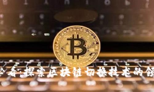 2025必看：探索区块链切换技术的领军公司