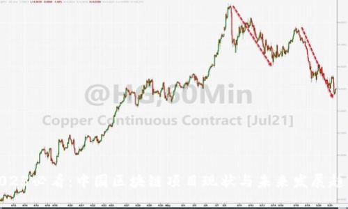 2025必看：中国区块链项目现状与未来发展趋势