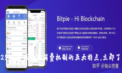 2025必看：区块链消费机制的五大特点，立即了解！