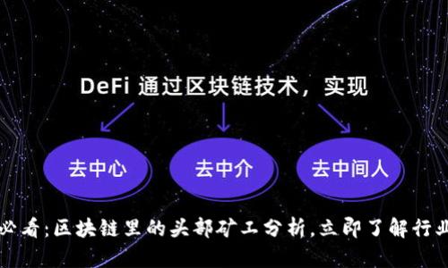 2025必看：区块链里的头部矿工分析，立即了解行业巨头！