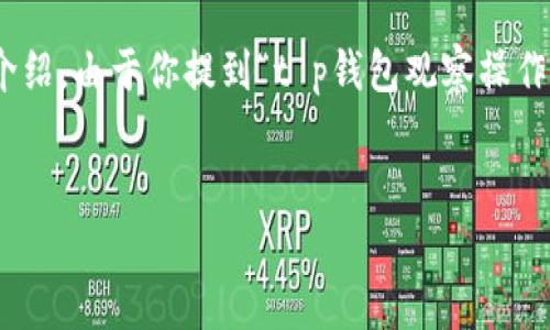 为了确保可以准确且全面地帮助你，我将为你提供一个关于“TP钱包观察操作流程”的详细介绍。由于你提到“t p钱包观察操作流程”，这可能涉及加密货币钱包的使用及其观察、管理的操作步骤。以下是内容的详细构成：


立即掌握TP钱包观察操作流程，2025必看攻略！