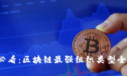 2025必看：区块链最强组织类型全面解析