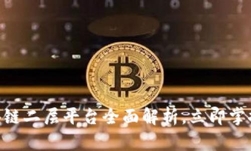 2025必看：区块链二层平台全面解析，立即掌握未来科技趋势
