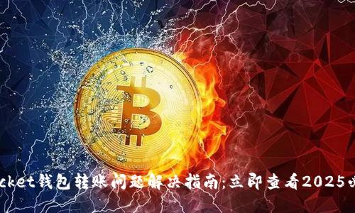 TokenPocket钱包转账问题解决指南：立即查看2025必看技巧！