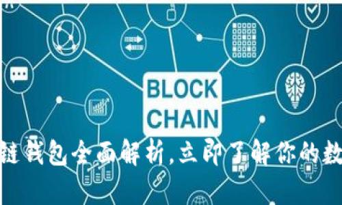 2025必看：区块链钱包全面解析，立即了解你的数字资产保护方式