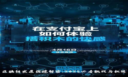 区块链发展困境解密：2025必看挑战与机遇
