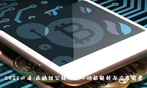 2025必看：区块链公链的核心功能解析与应用前景