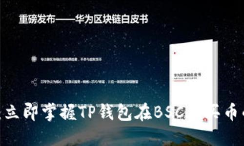 2025必看：立即掌握TP钱包在BSC上买币的终极教程