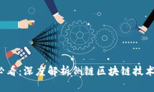 2025必看：深度解析侧链区块链技术与应用