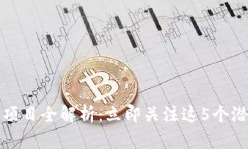 2023年火爆区块链项目全解析：立即关注这5个潜力无限的投资机会！