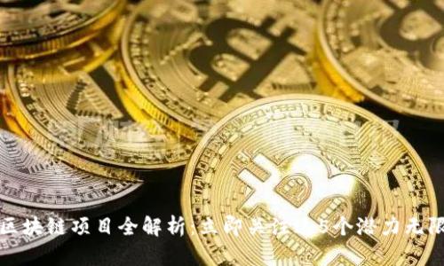 2023年火爆区块链项目全解析：立即关注这5个潜力无限的投资机会！