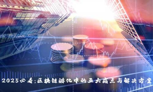 2025必看：区块链孵化中的五大痛点与解决方案
