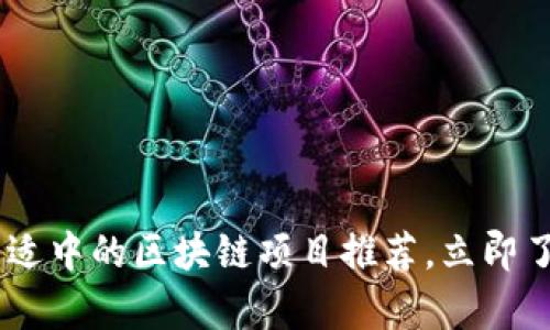 2025必看！价格适中的区块链项目推荐，立即了解当前投资机会