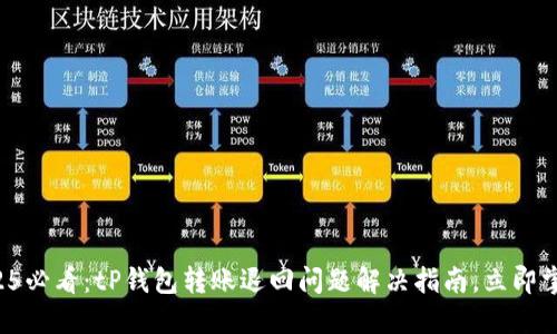 2025必看：tP钱包转账退回问题解决指南，立即掌握！
