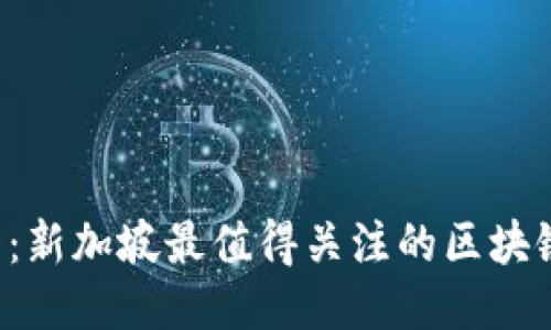 2025必看：新加坡最值得关注的区块链交易平台