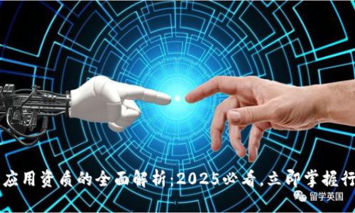 区块链应用资质的全面解析：2025必看，立即掌握行业动态