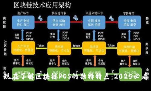 现在了解区块链POS的独特特点：2025必看