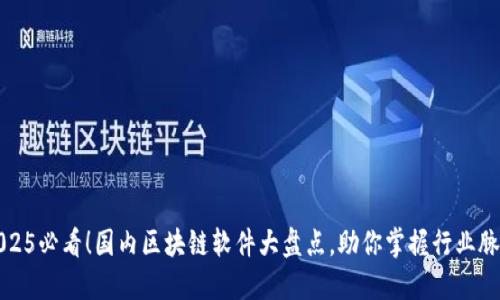 2025必看！国内区块链软件大盘点，助你掌握行业脉搏