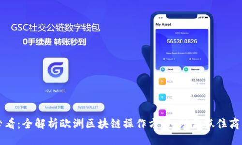 2025必看：全解析欧洲区块链操作方案，助你抓住商业机遇！