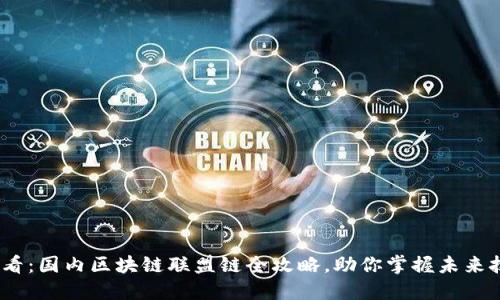 2025必看：国内区块链联盟链全攻略，助你掌握未来技术趋势