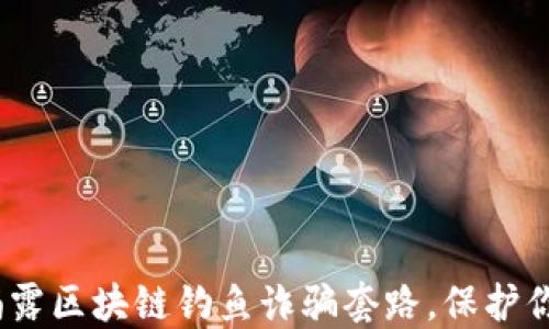 
2025必看：揭露区块链钓鱼诈骗套路，保护你的数字资产！