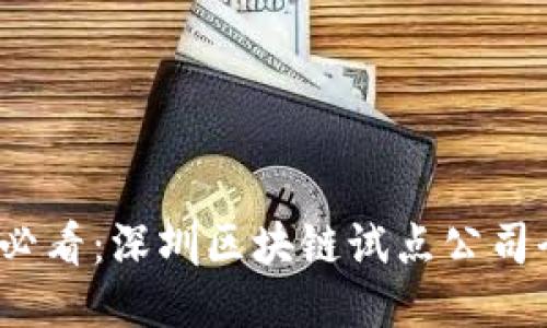 2025必看：深圳区块链试点公司全指南