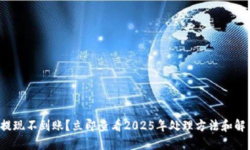 TP钱包提现不到账？立即查看2025年处理方法和解决技巧！