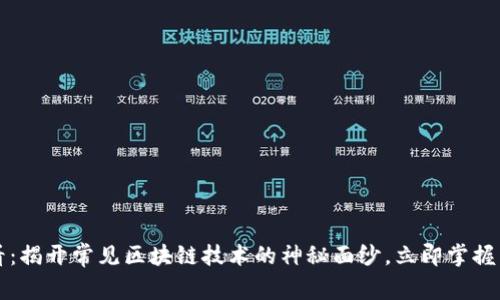 2025必看：揭开常见区块链技术的神秘面纱，立即掌握未来趋势！