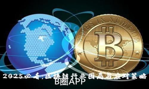 2025必看：区块链行业困局与应对策略
