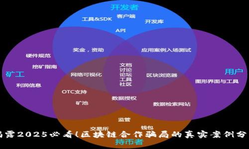 揭露2025必看！区块链合作骗局的真实案例分析