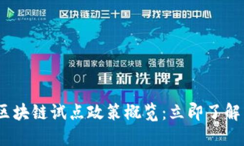 2023年区块链试点政策概览：立即了解未来影响