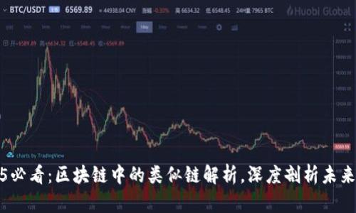 2025必看：区块链中的类似链解析，深度剖析未来趋势