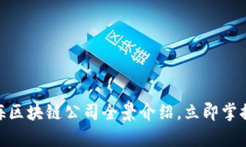 2025必看：上海区块链公司全景介绍，立即掌握行业前沿动态